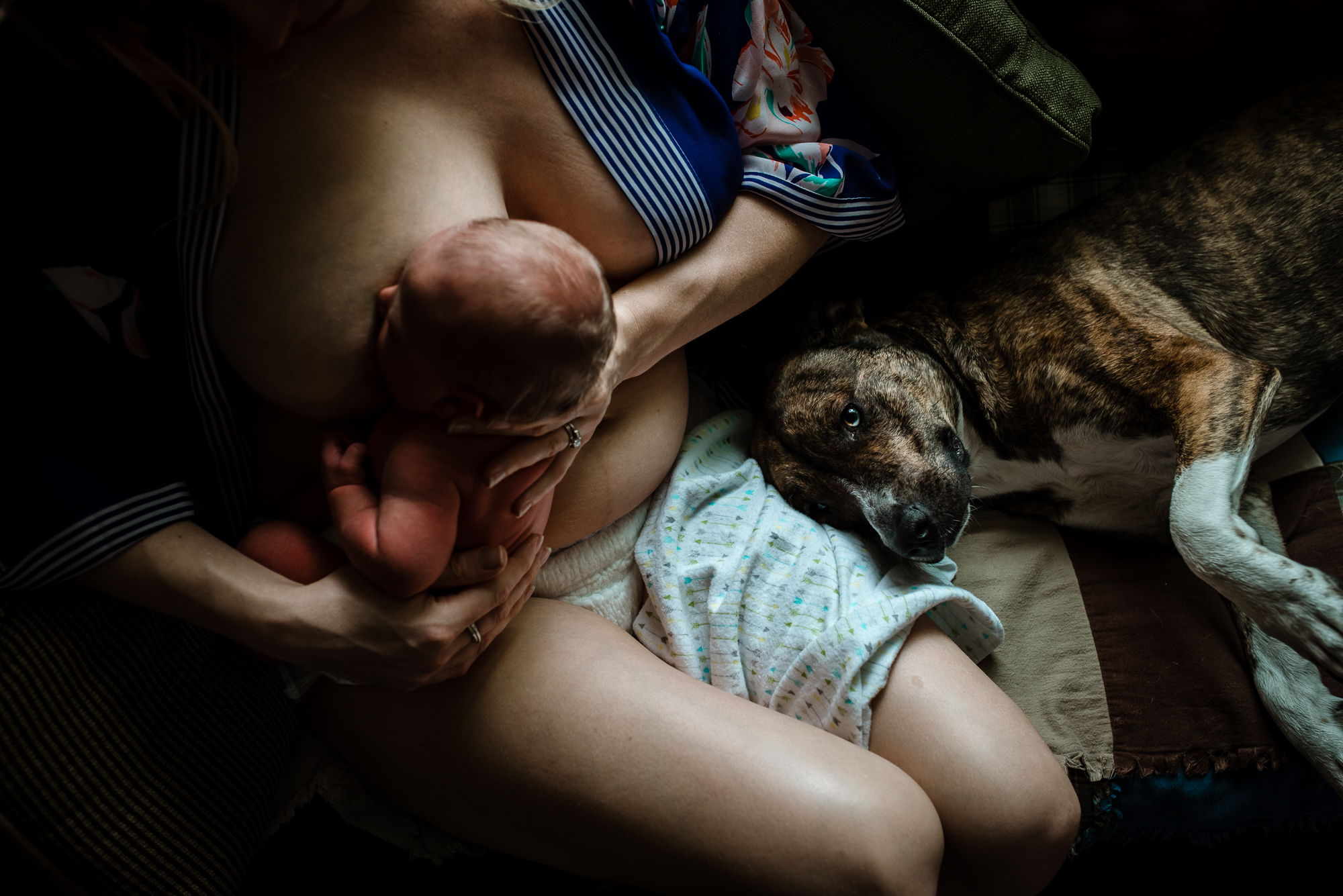 Meredith Westin Photography - postpartum breastfeeding fourth trimester-15.jpg