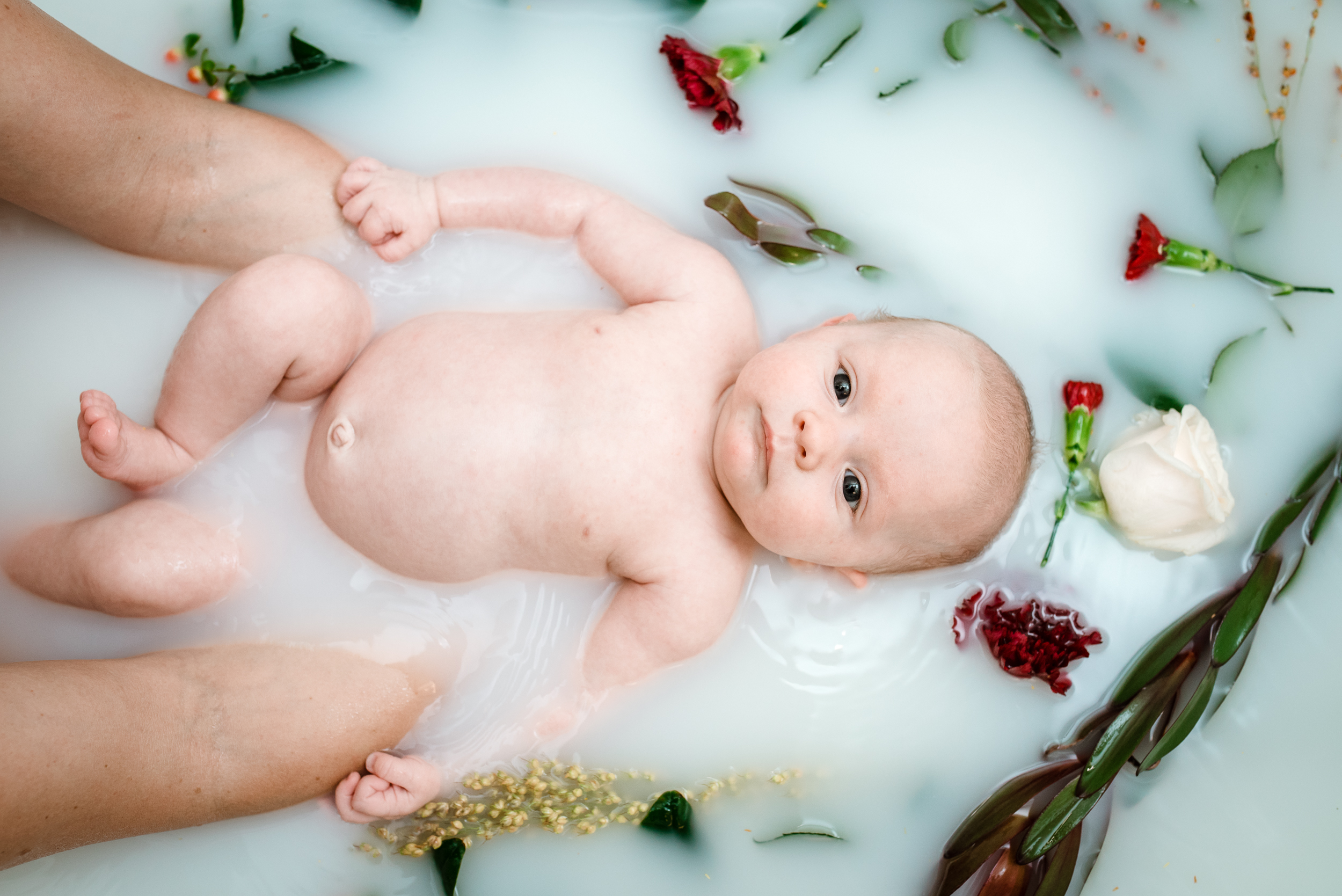 Meredith Westin Photography- Minneapolis Birth Stories and Films milk bath-September 11, 2018-103713.jpg