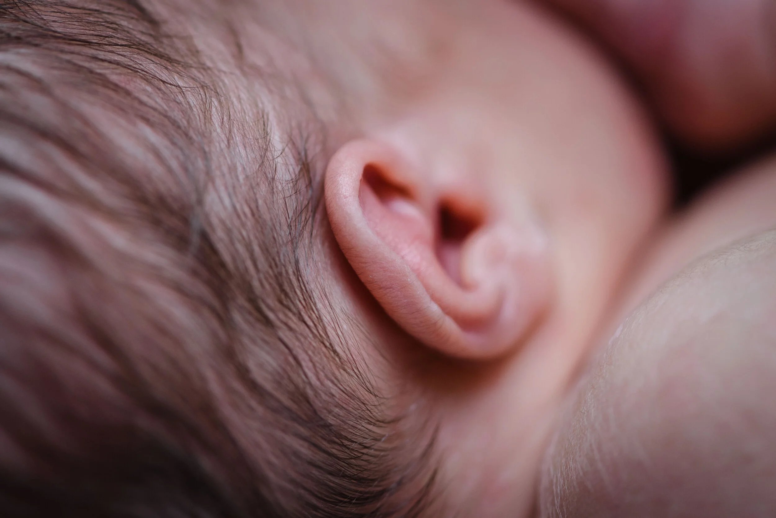 Gather Birth Cooperative- Photography and Doula Support -September 12, 2019-134410.jpg