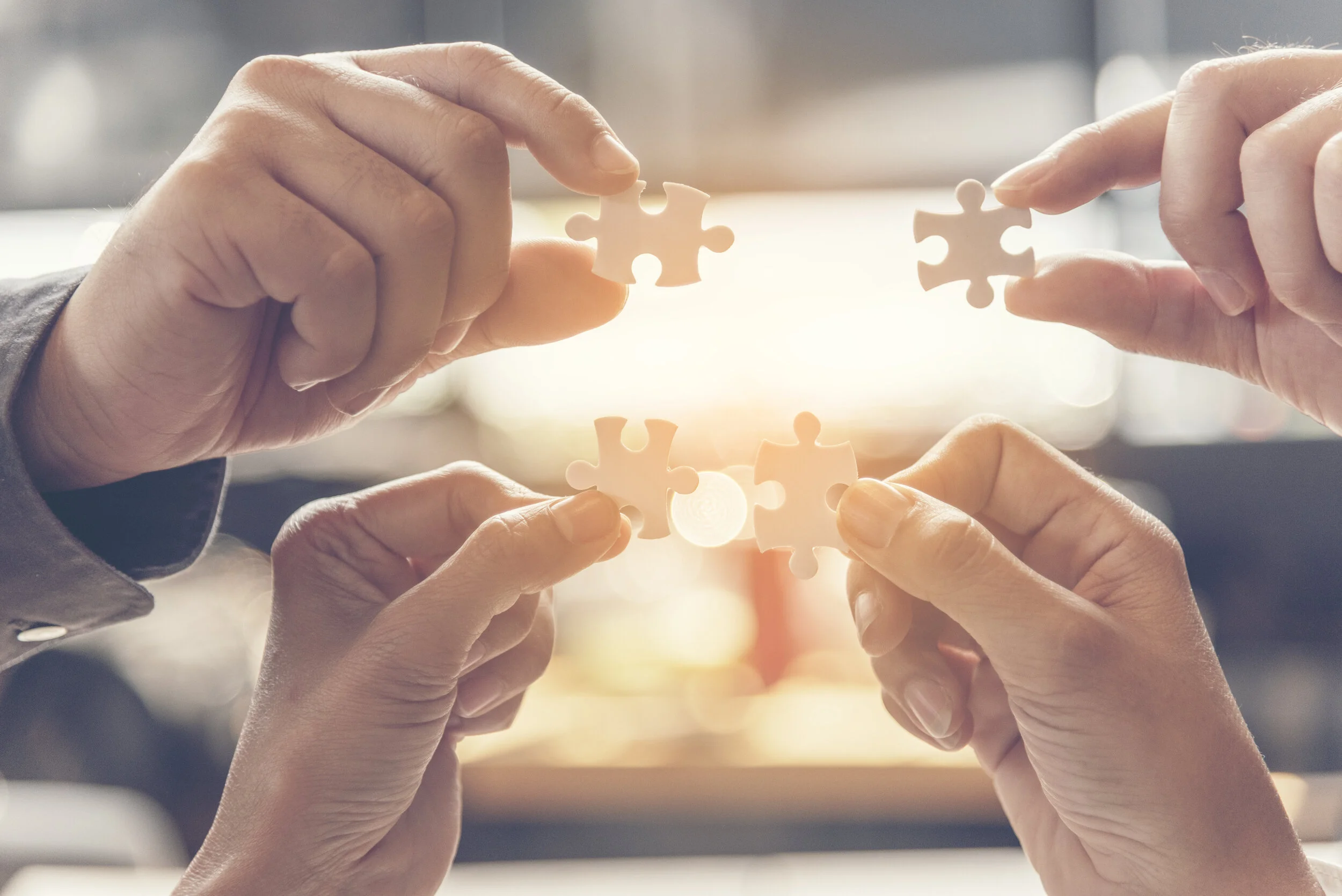 The Meaning of Democracy