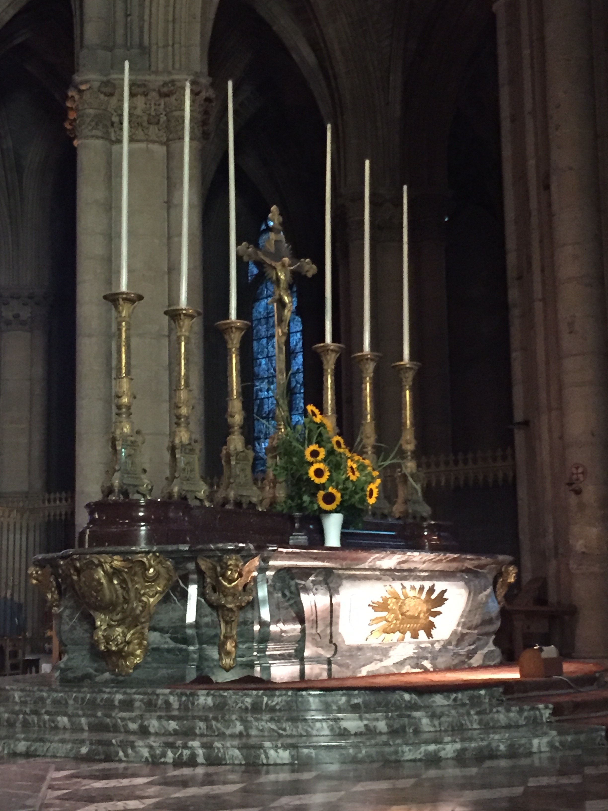 I've never seen sunflowers in a church, until we went to the Reims cathedral a few weeks ago for a beautiful mass and there she was, Olivia saying hello.