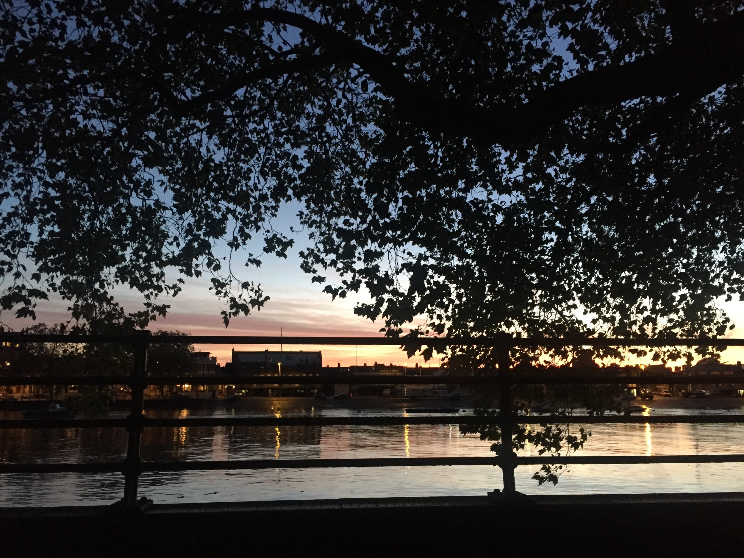 Today's sunset from Olivia's bench - Moments like this are sacred to me 