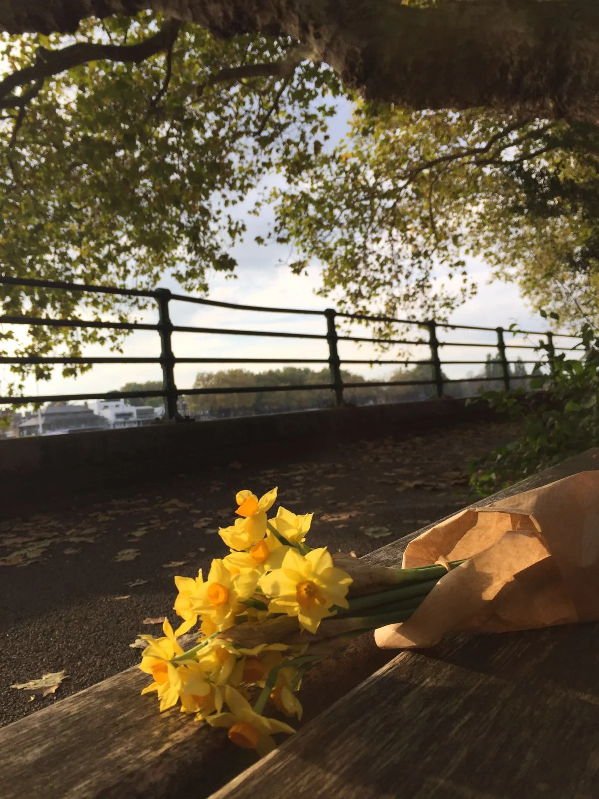 This was a picture sent by my friend Cat whom I met thanks to Olivia on our pregnancy yoga classes and who has gladly stayed on to be a friend for life. They went to visit Olivia on a random day and just told me after... It is gestures like this tha…