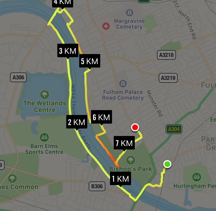 My usual running/walking route but with a long stop by Olivia's bench