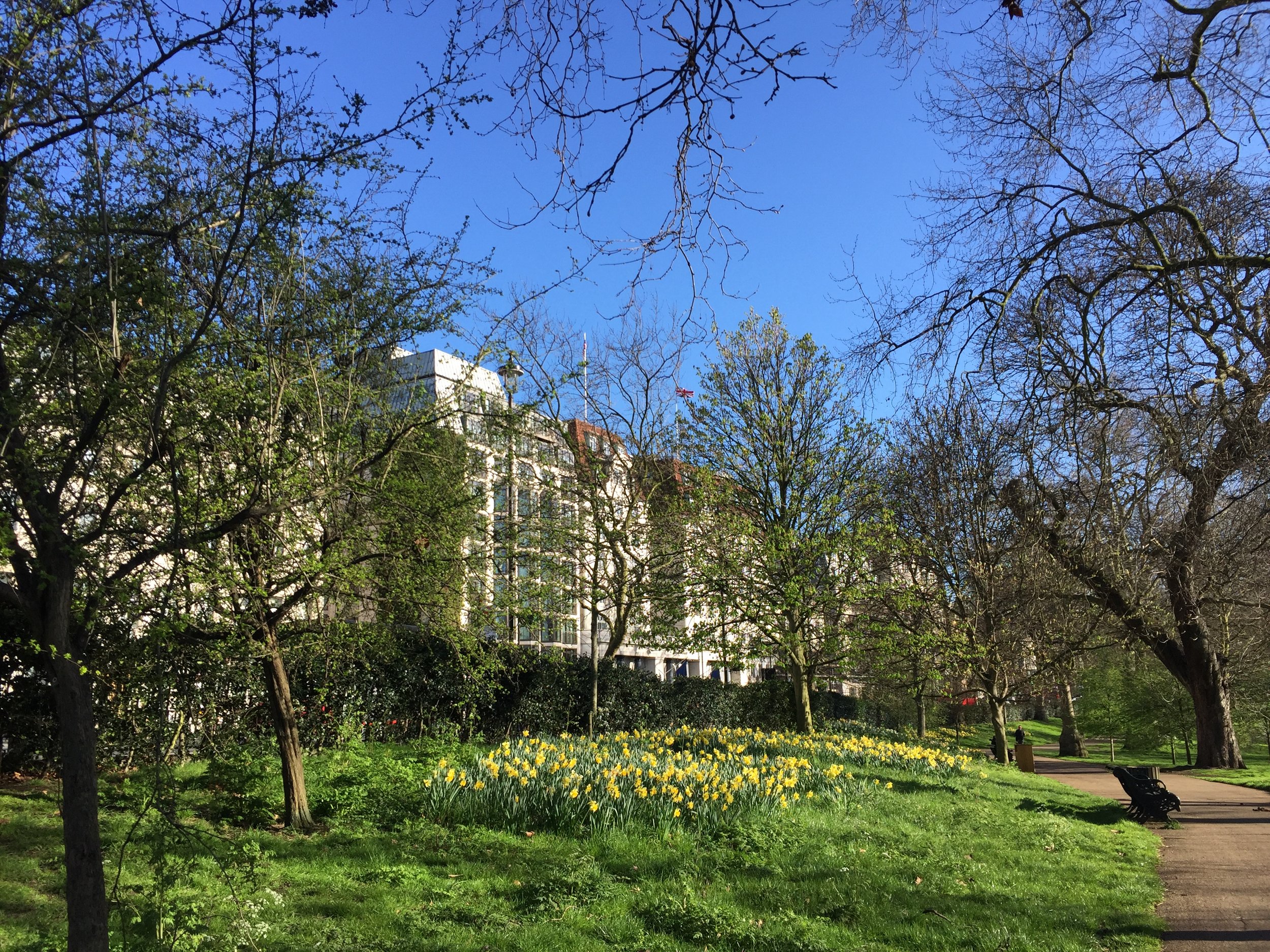 I took this picture walking on my way to work, it was an epic weather day but a big wave of grief hit me later on...