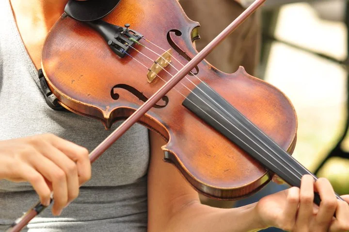 197226_545299155322_6116683_n (1).jpg