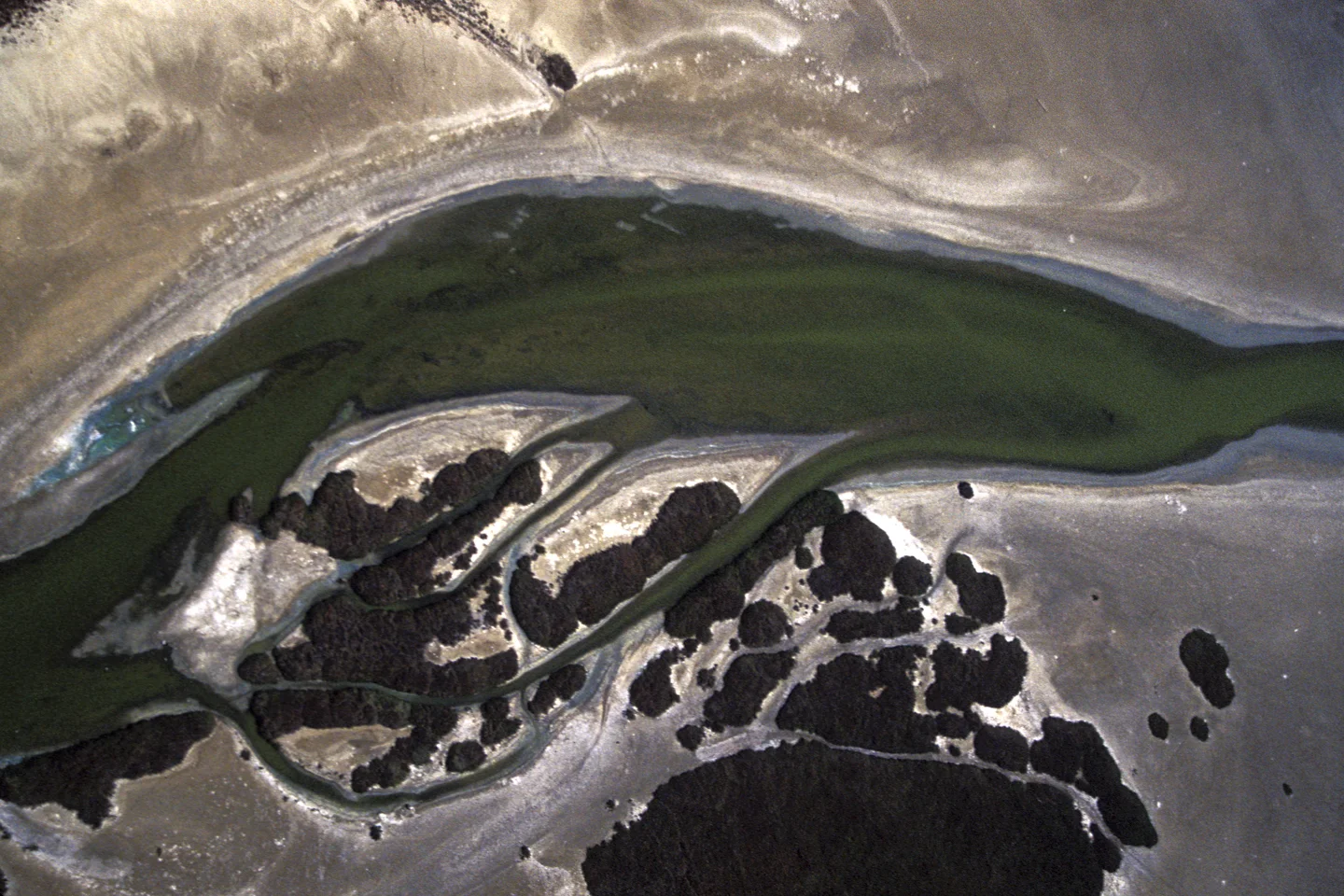 ariel rivulets Santa Barbara Beach.jpg