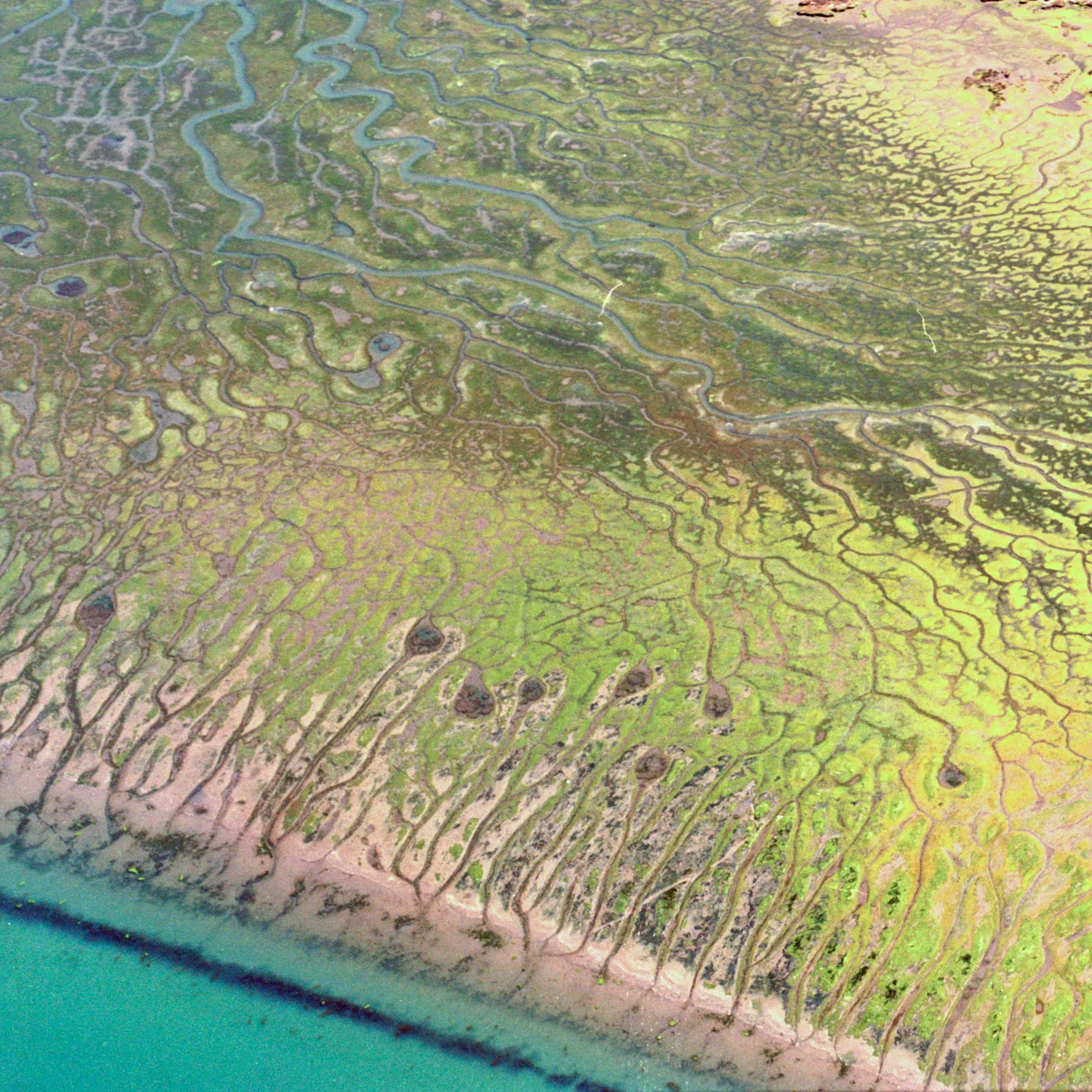 Humbolt Lagoons layered img003cube.jpg