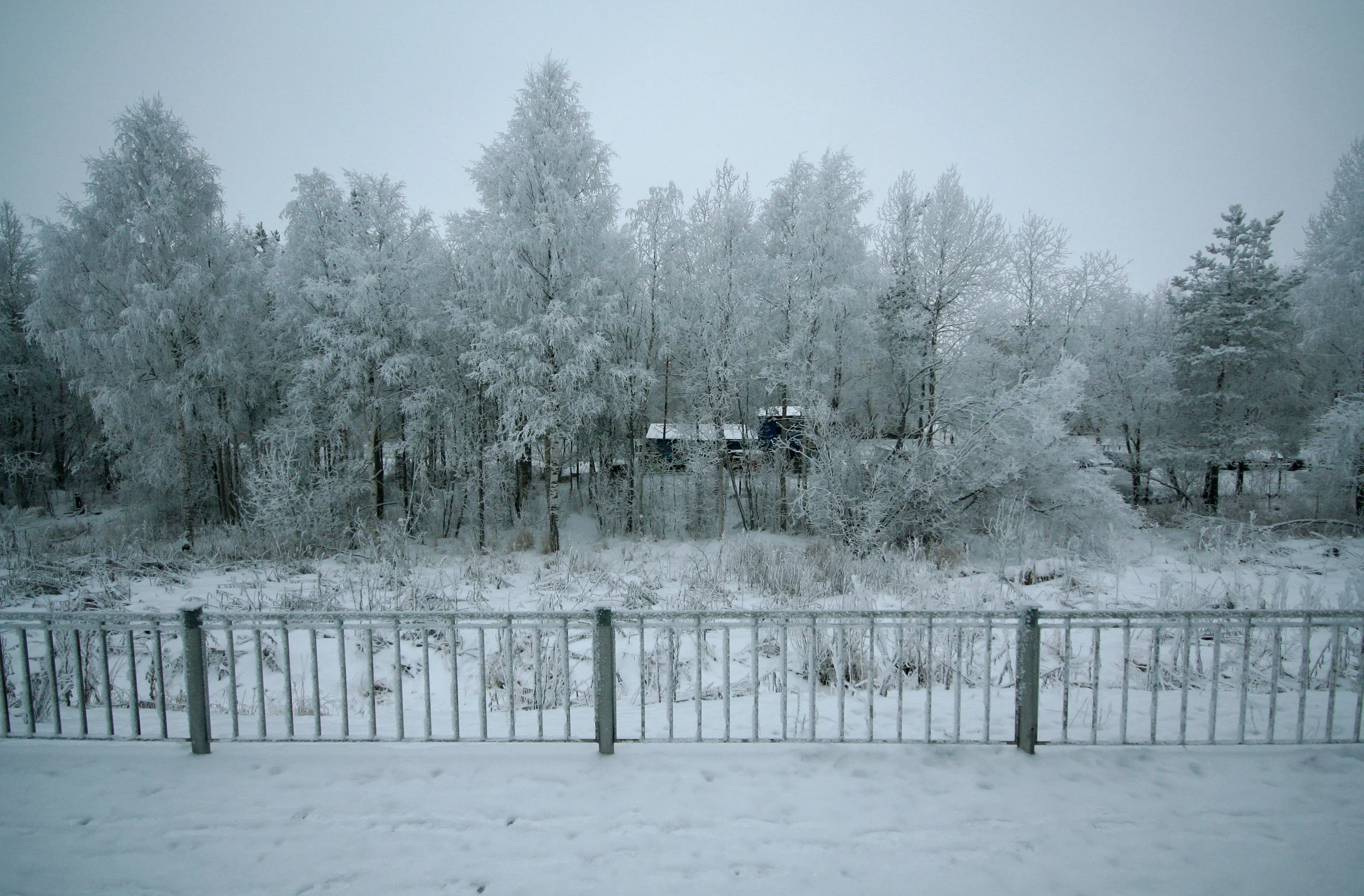 murmansk.jpg