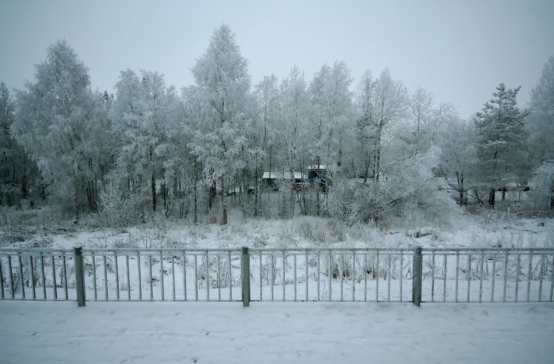 Sanwaree Robinson - Other - Murmansk.jpg