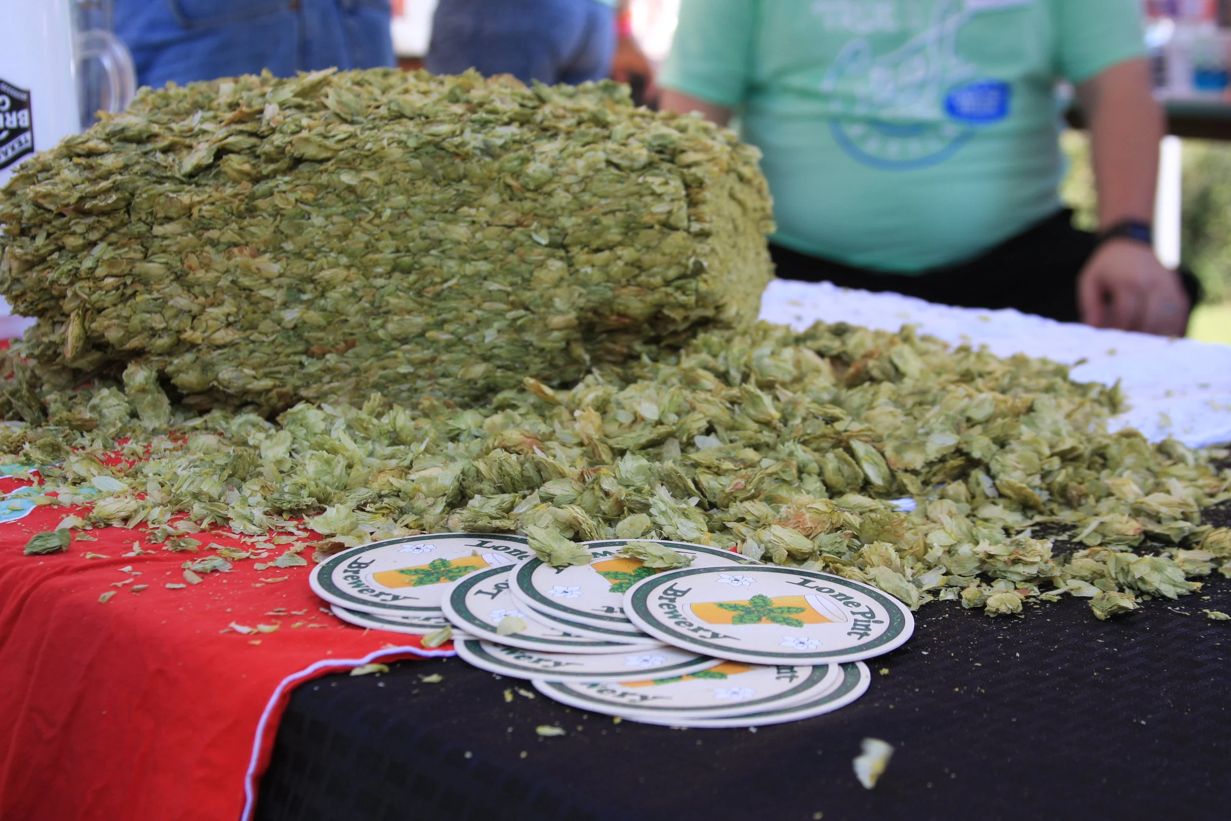 Texas Craft Brewers Festival 2018