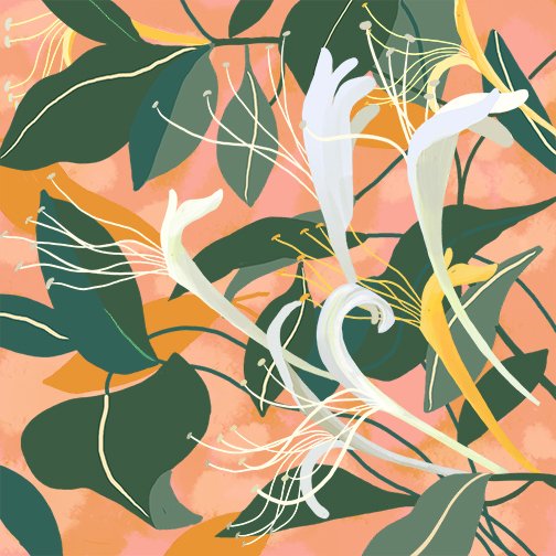 Honeysuckle