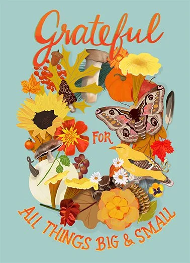 Grateful for All Things Big and Small
