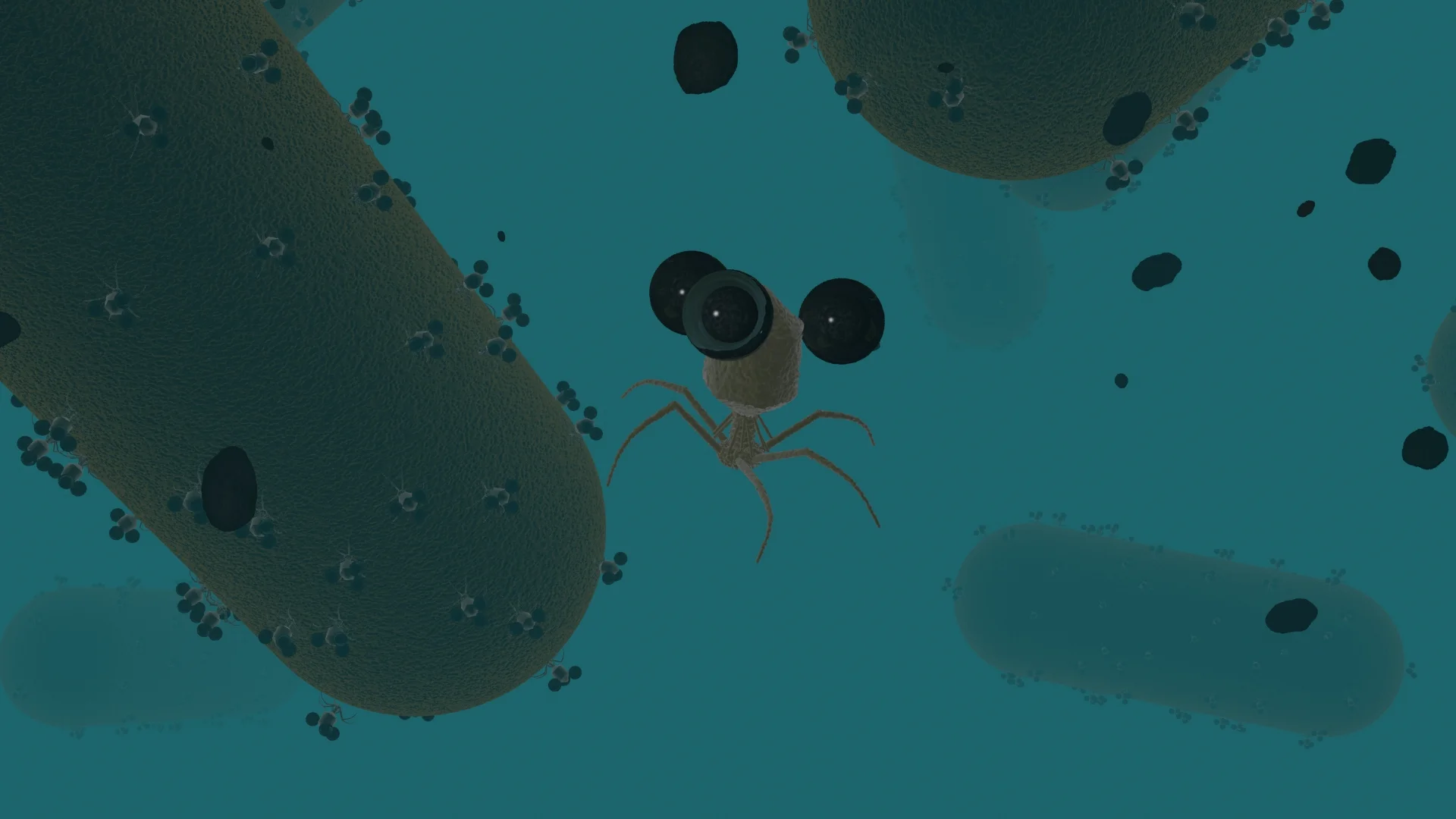 Viruses (one illustrated, center) can be engineered to carry magnetic nanoparticles and modified DNA, transforming them into nanobots that detect bacteria in water or food. S. Nugen