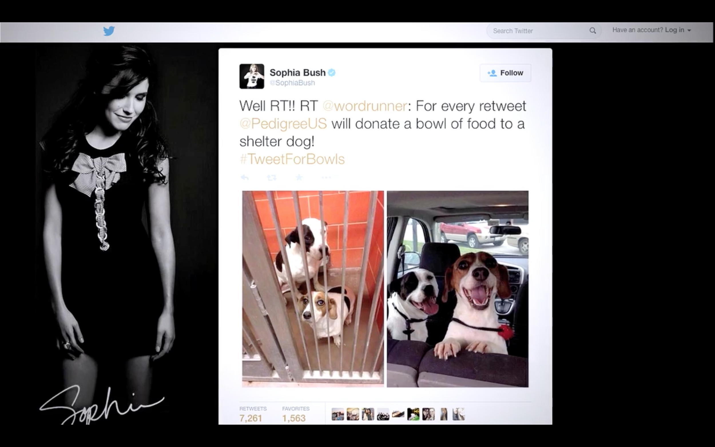 Screen Shot 2016-12-22 at 10.51.58 PM.png