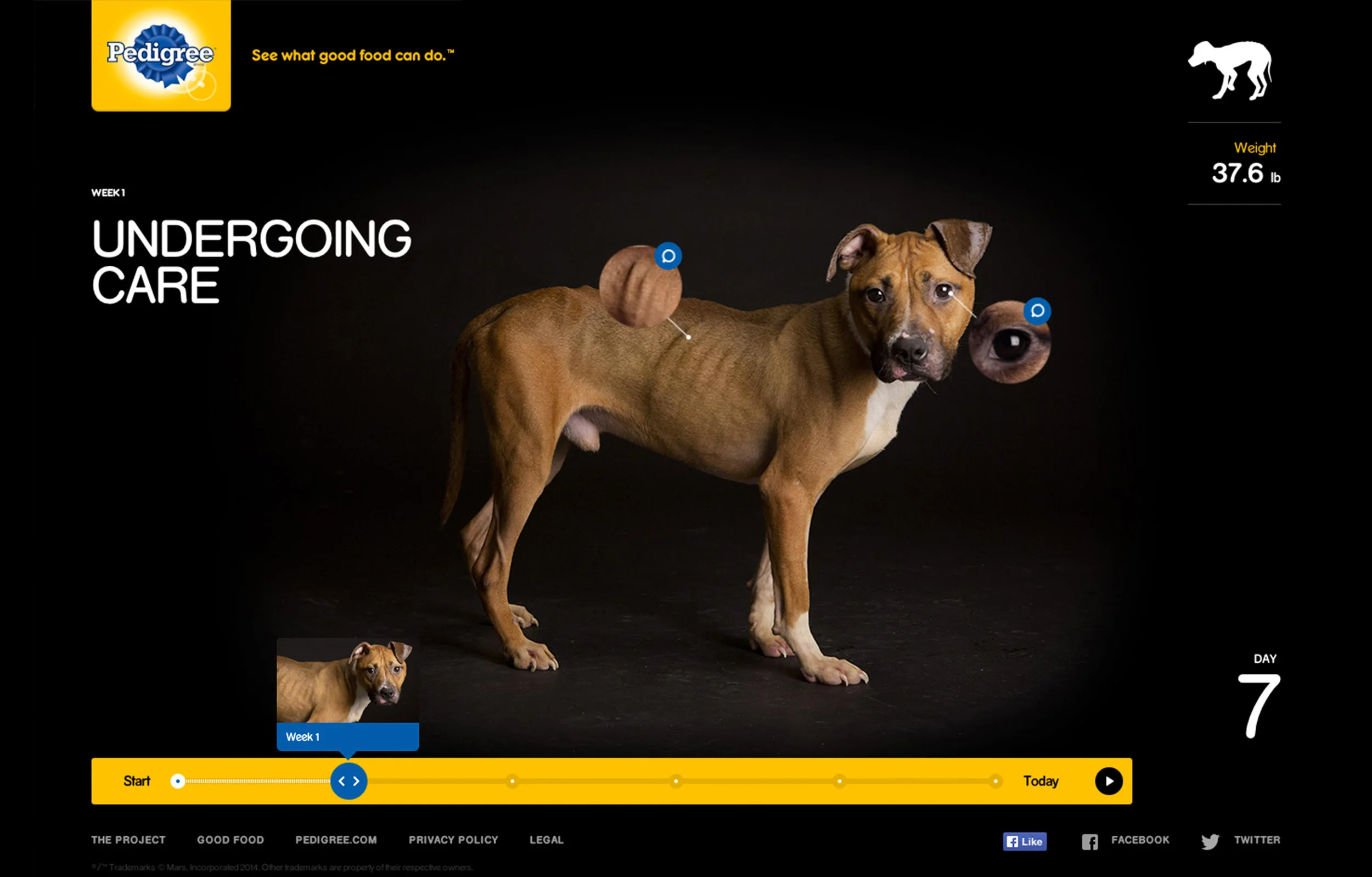 DIRECTORY_Pedigree_Grab-2.jpg