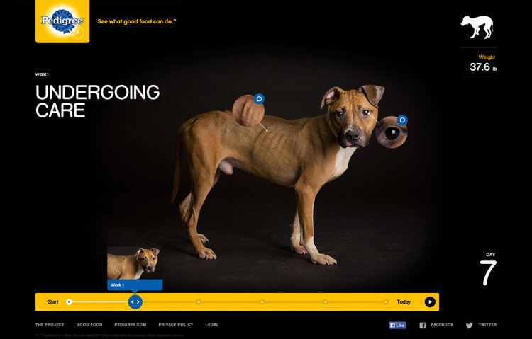 DIRECTORY_Pedigree_Grab-2.jpg