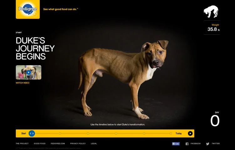 DIRECTORY_Pedigree_Grab-1.jpg