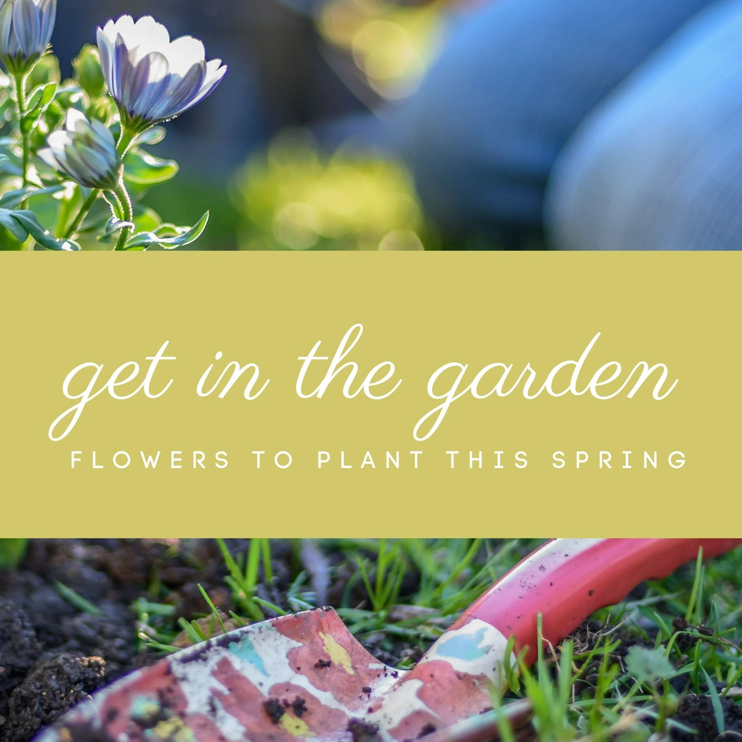 Get in the Garden!