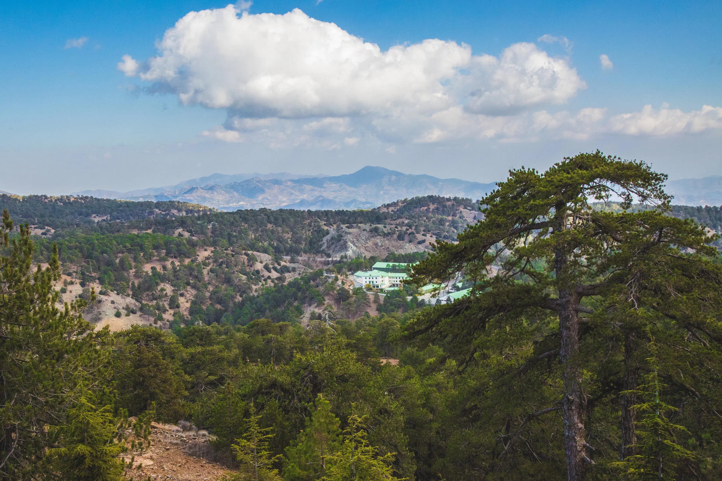 _U7A6298-4.jpg