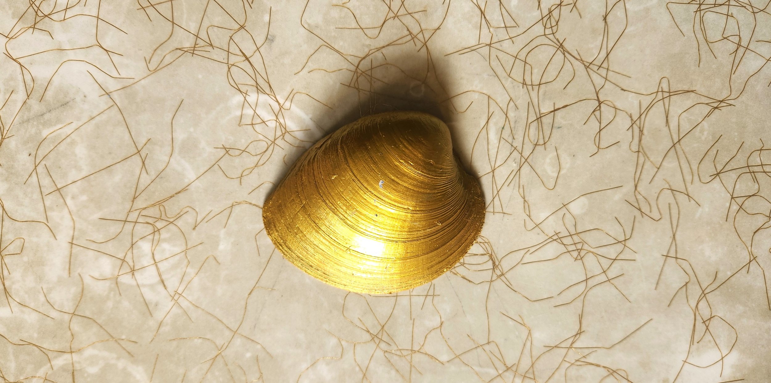 20260906_144252.jpg
