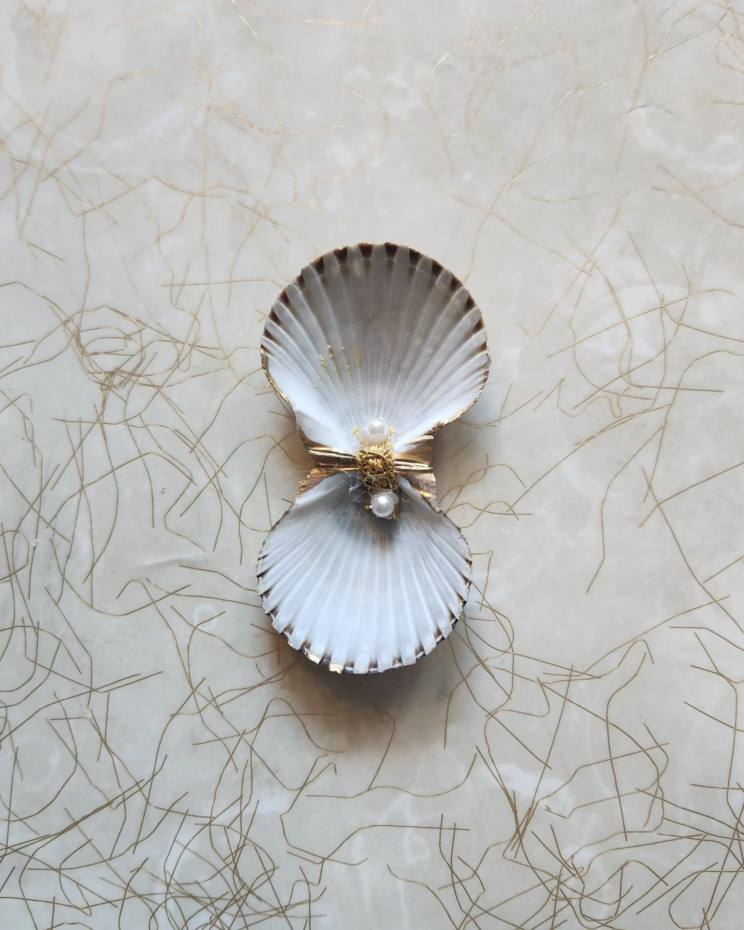scallop box open.jpg