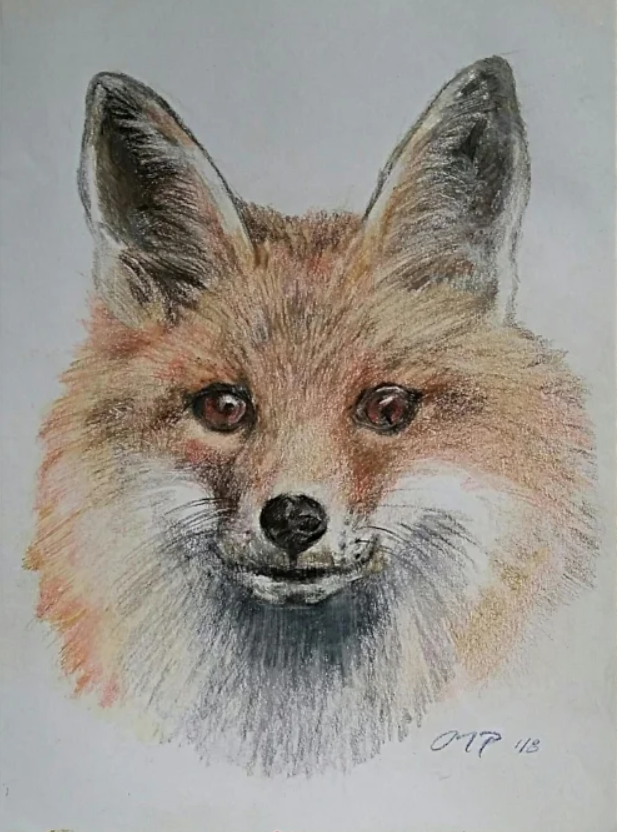 fox portrait.png