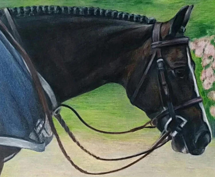 braided black pony.png