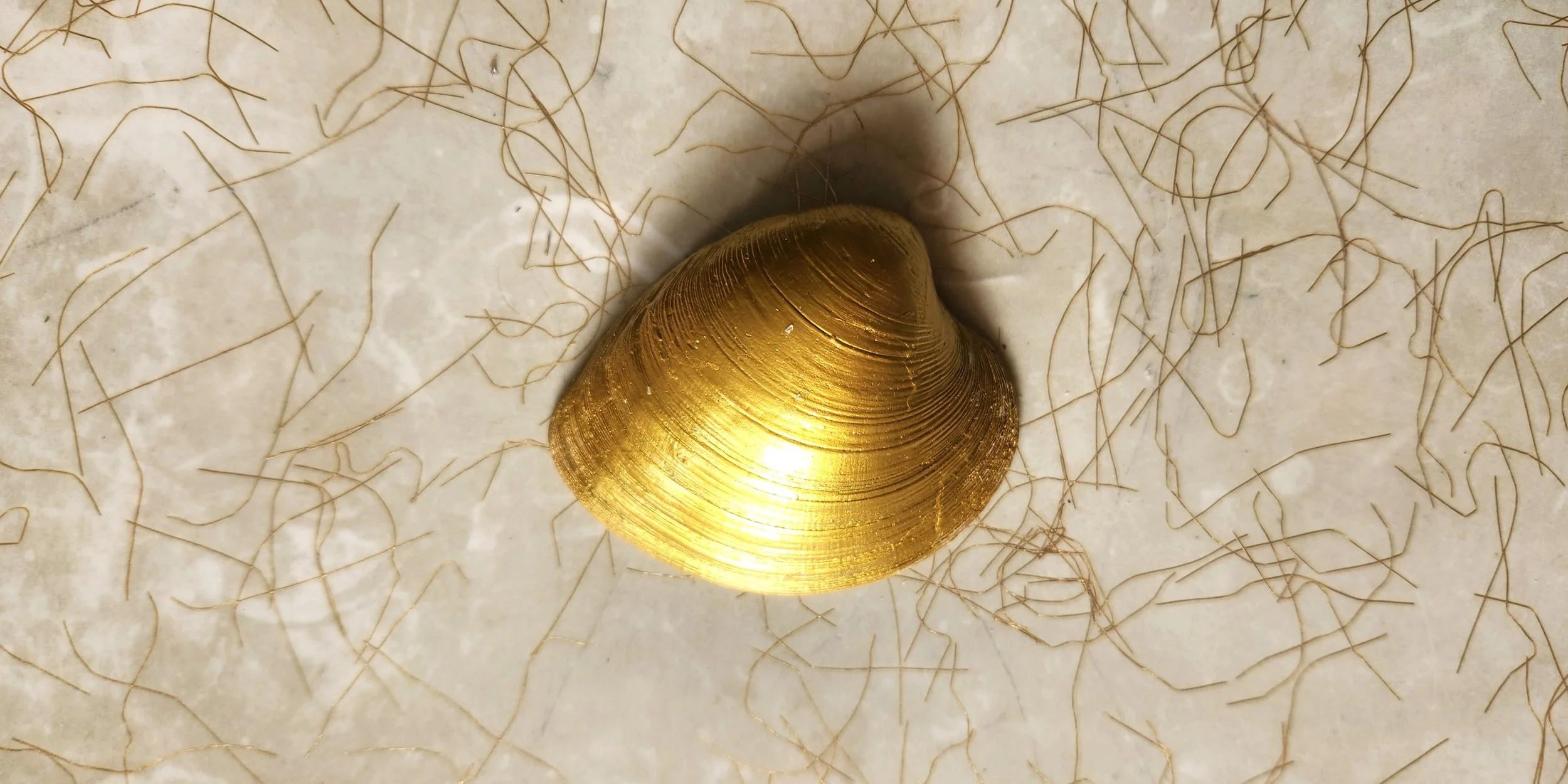 20260906_144442.jpg