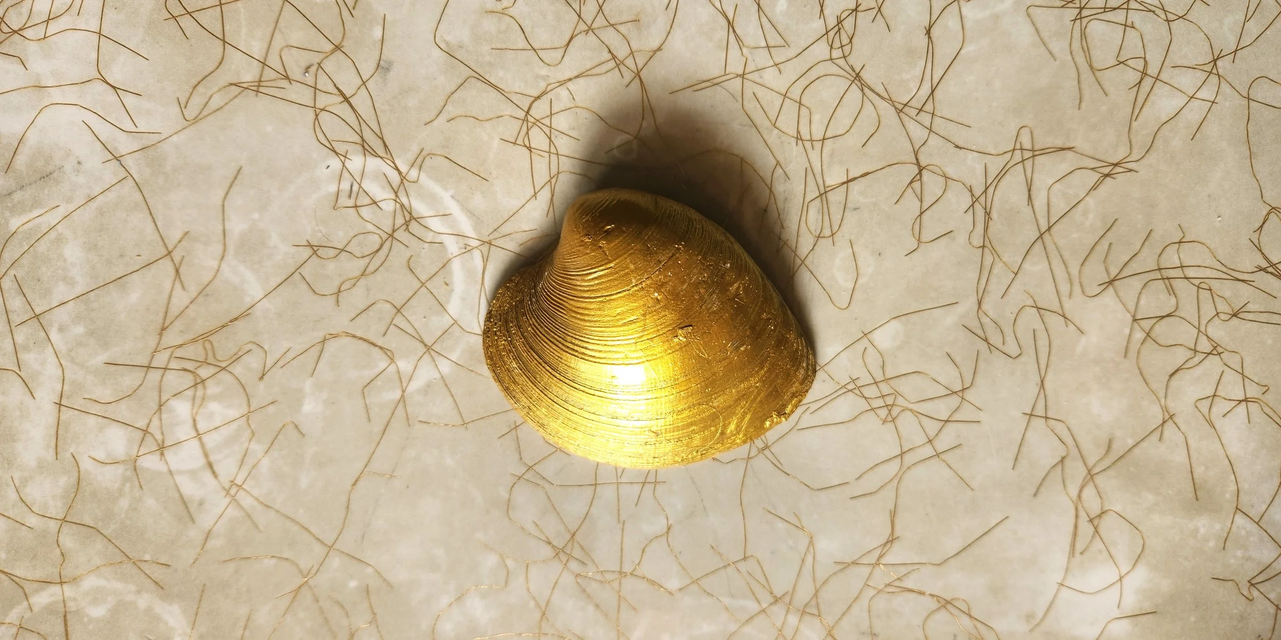 20260906_144545.jpg