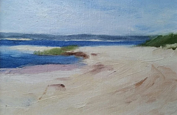 shinnecock bay.png