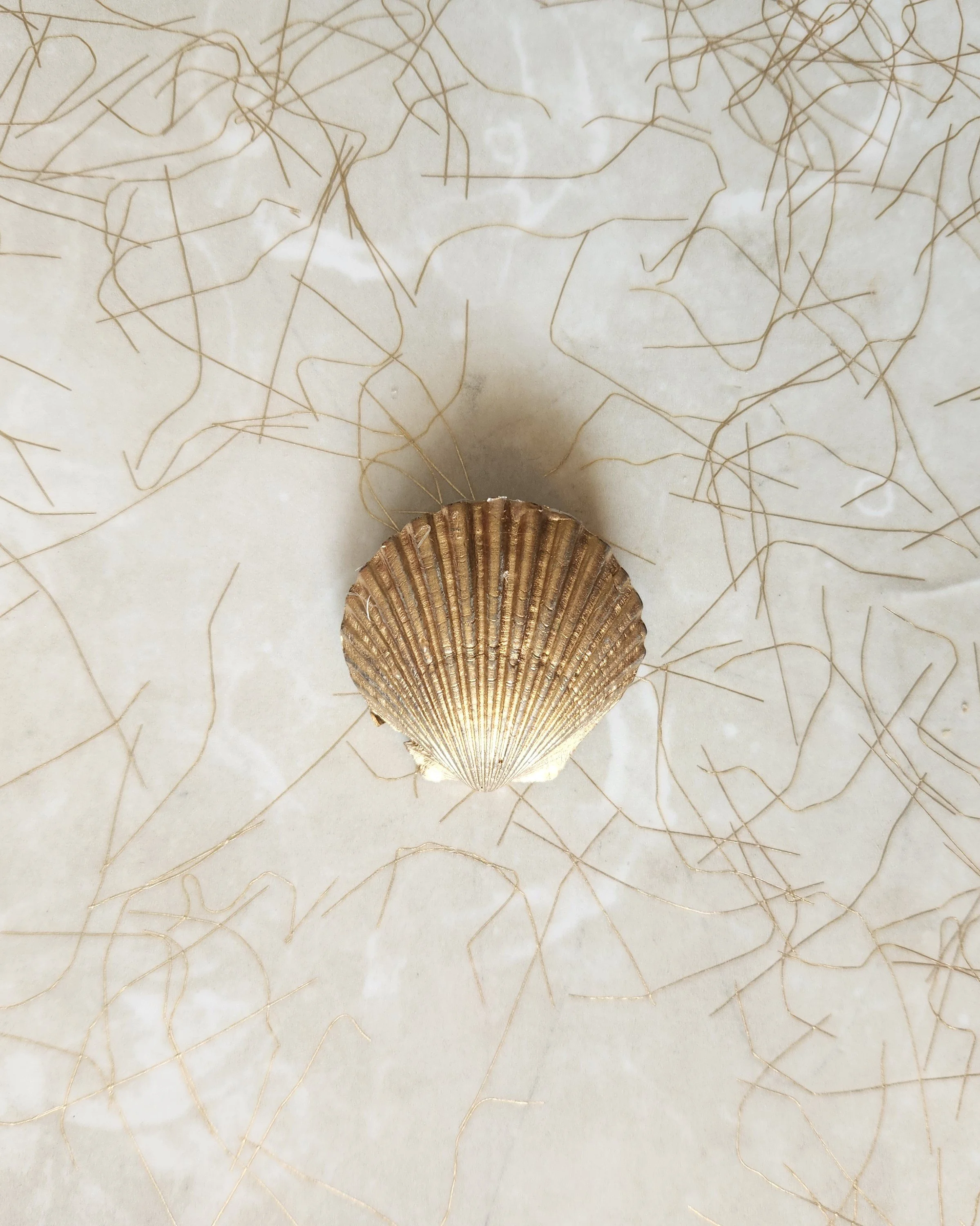 seashell pin front.jpg