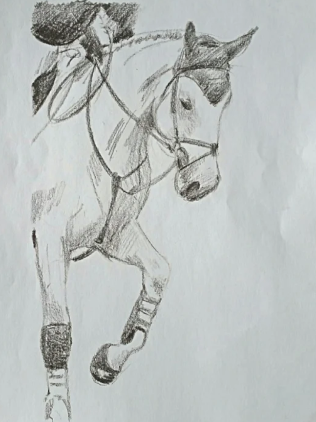champion jumper.png