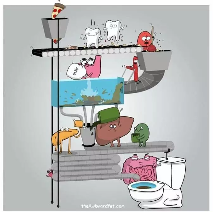 Everyone's organs could use a hand . . .