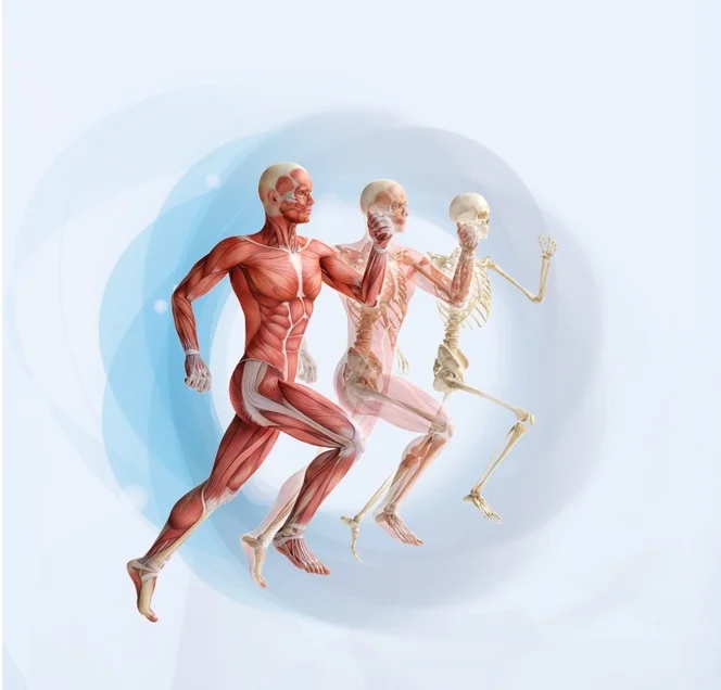 Structural Dynamics — Trunamics