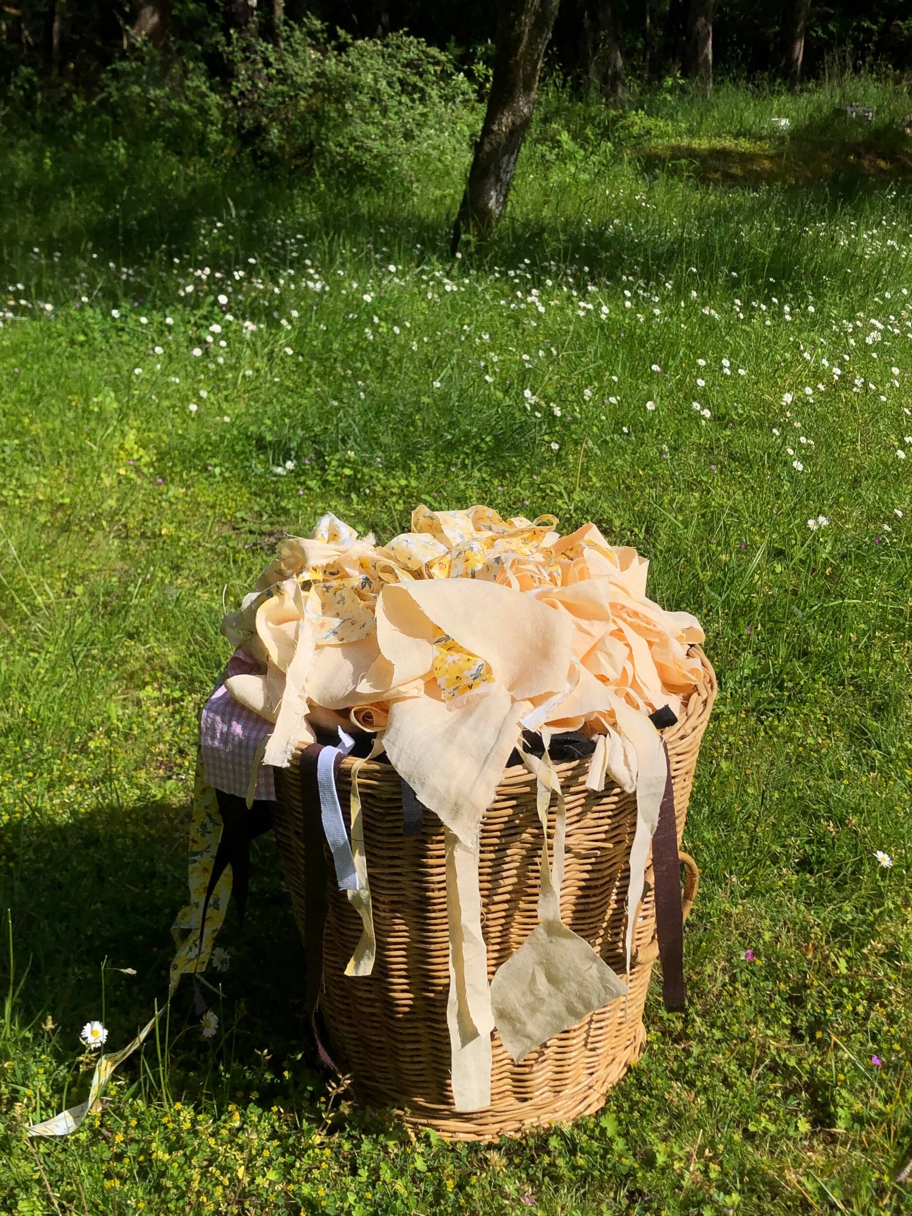 7D0F0CB3-29F3-48E5-BC94-1C6C7B560A6B