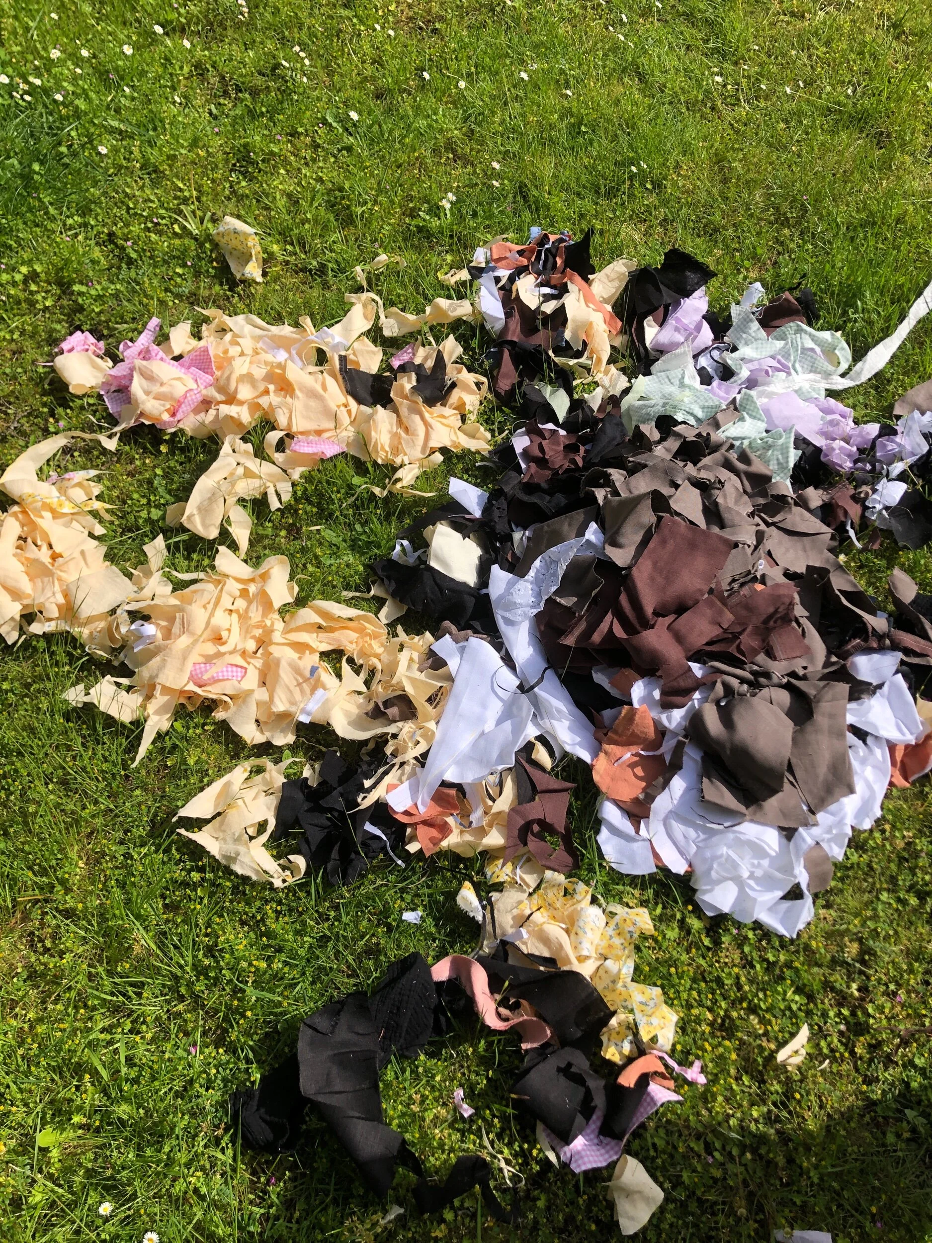 13D1C5E5-9724-4D7F-A526-CEBF8B8A46F1