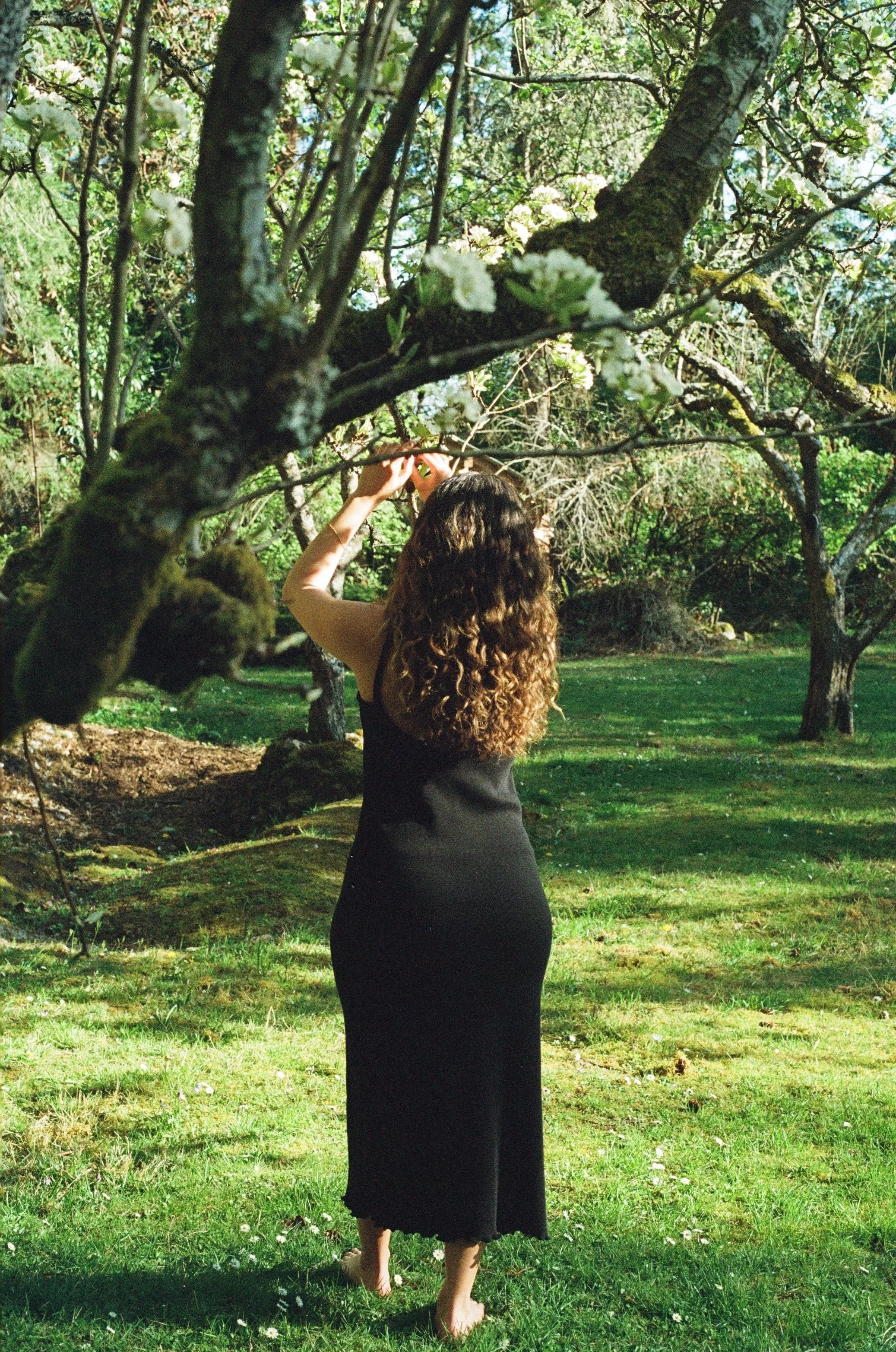 0037_1.jpg