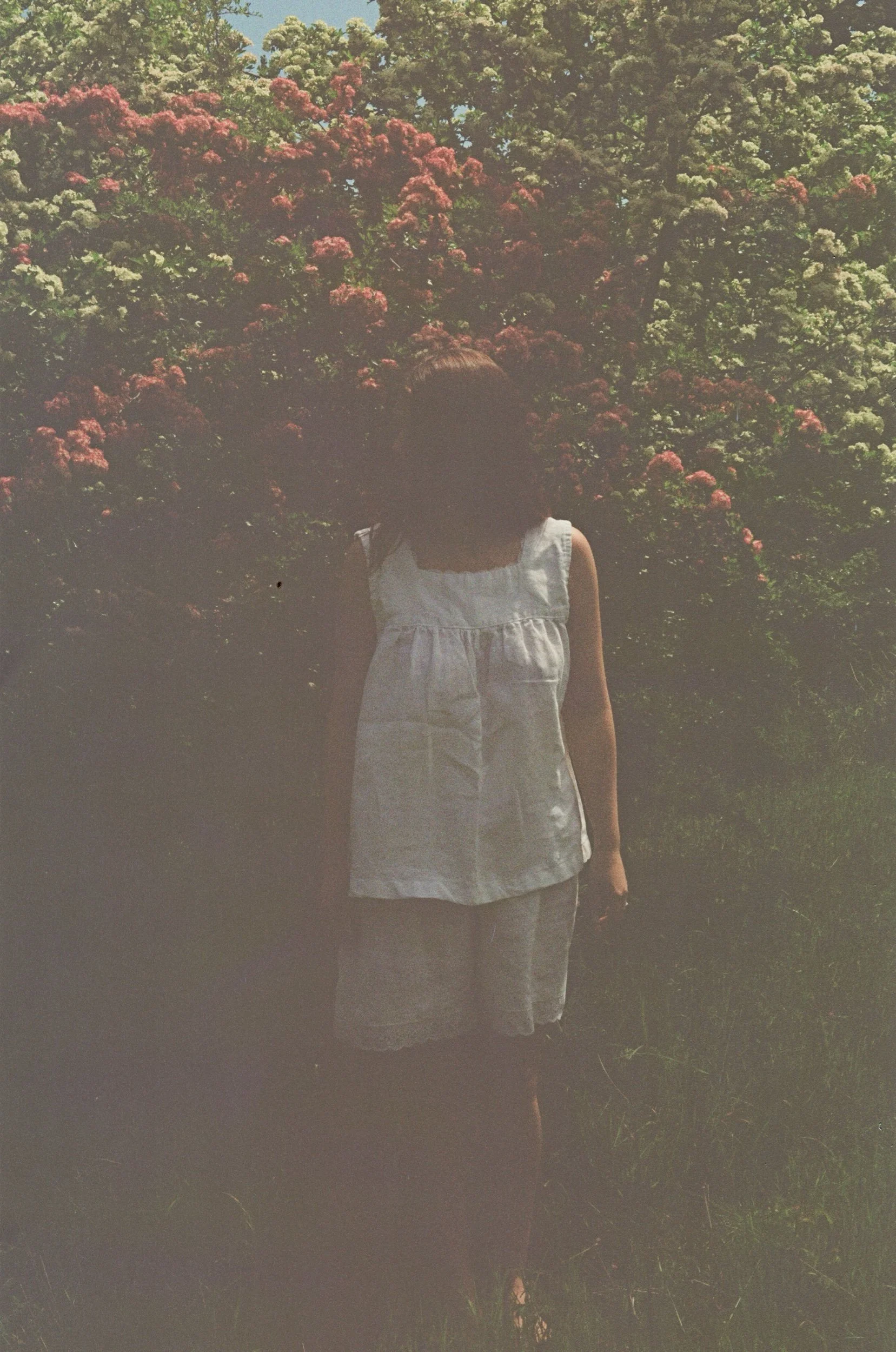 530D916C-6437-488D-B0B0-DF292A7E4D44.jpeg