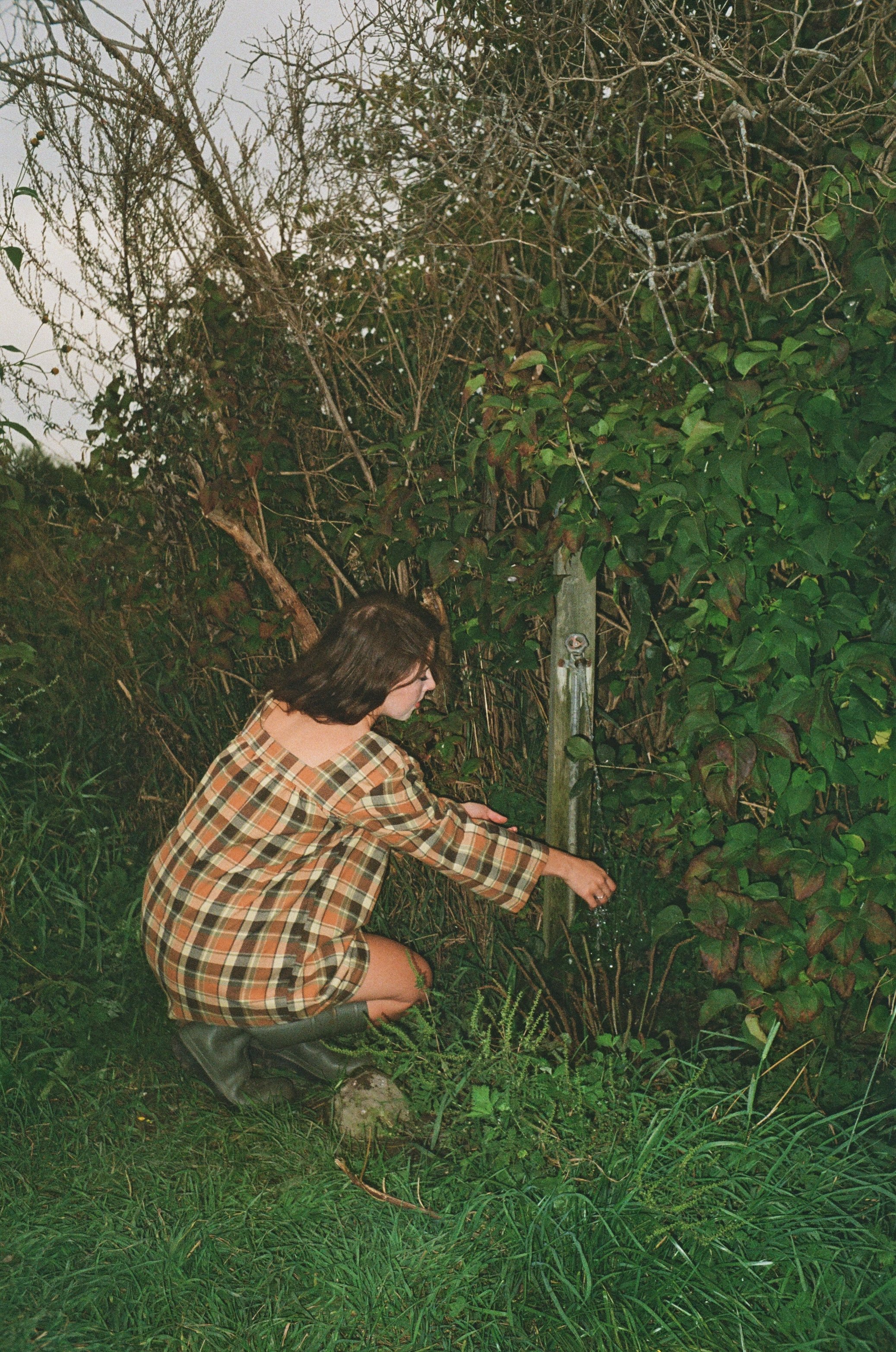 0024_12.jpg