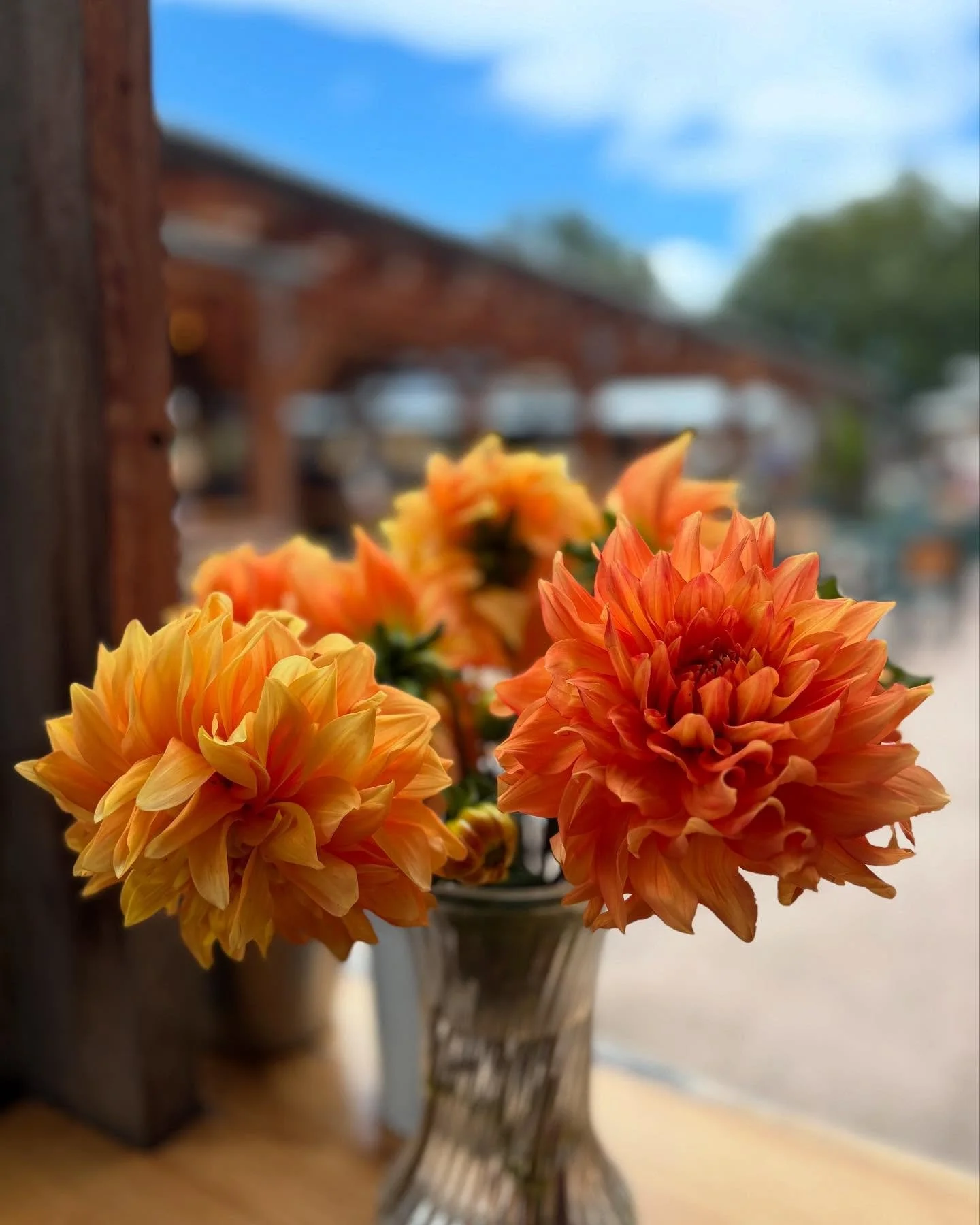 😍 thanks @fig.and.otter.farm !