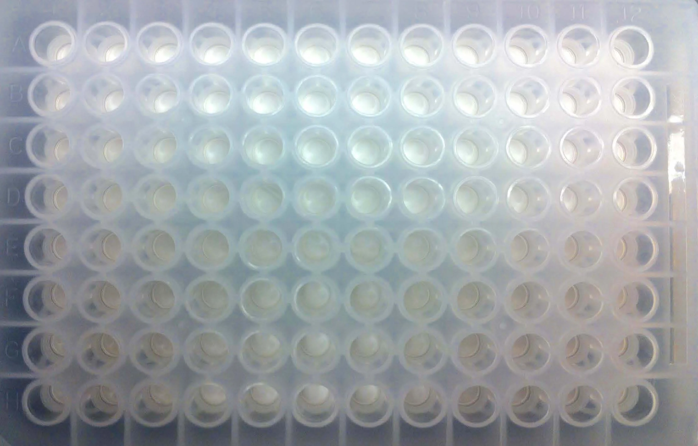 96-well FiSS Plate (5 plates)