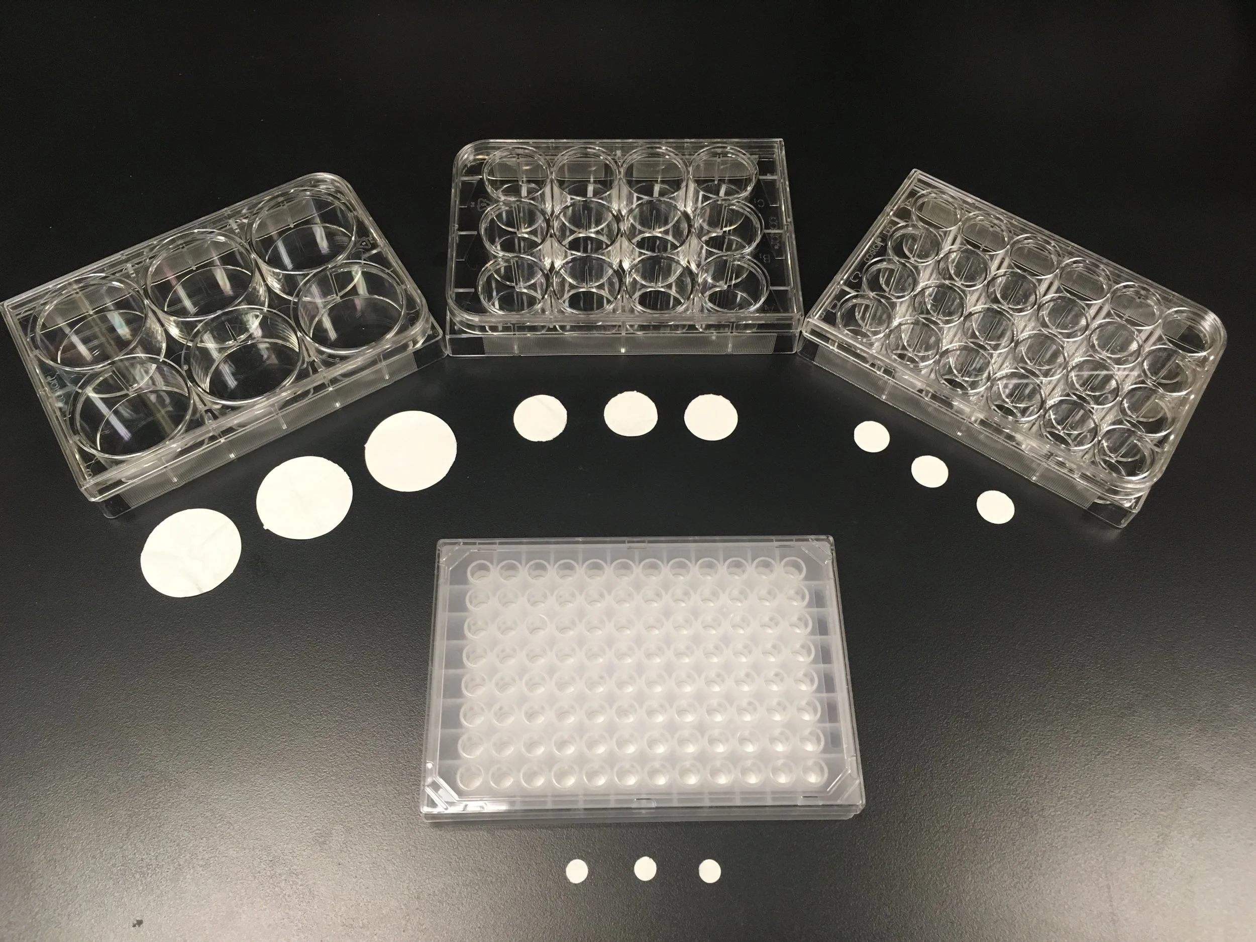 12-well FiSS Disc (20 discs)