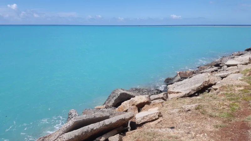 We are very lucky to live in a place that looks like this. 