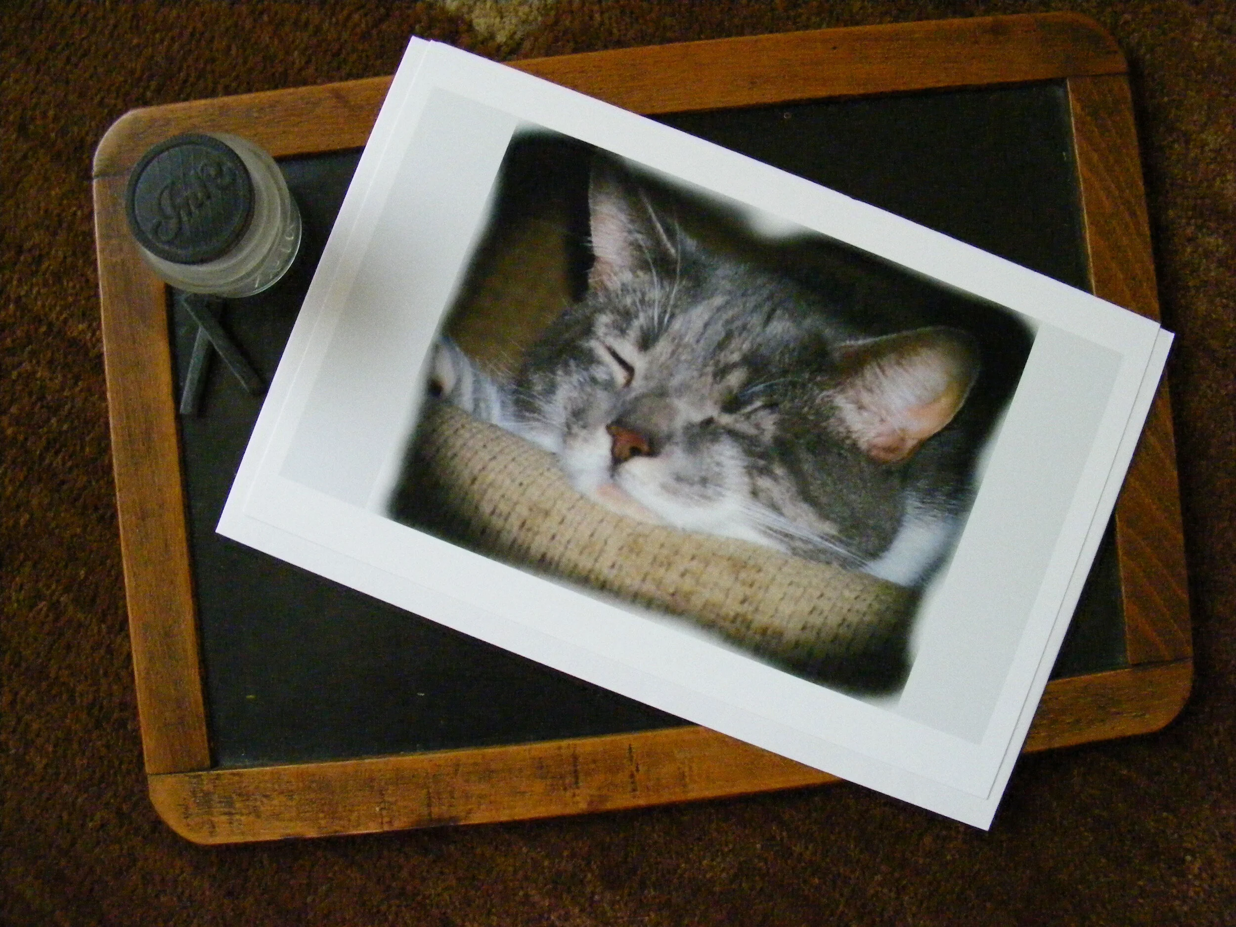 Photography and Handmade Cards with Creeks Edge Studio
