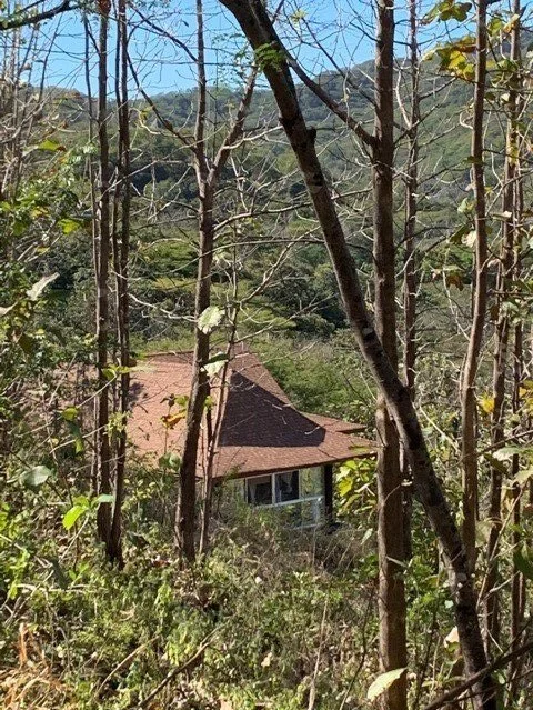 treehouse+outside.jpg