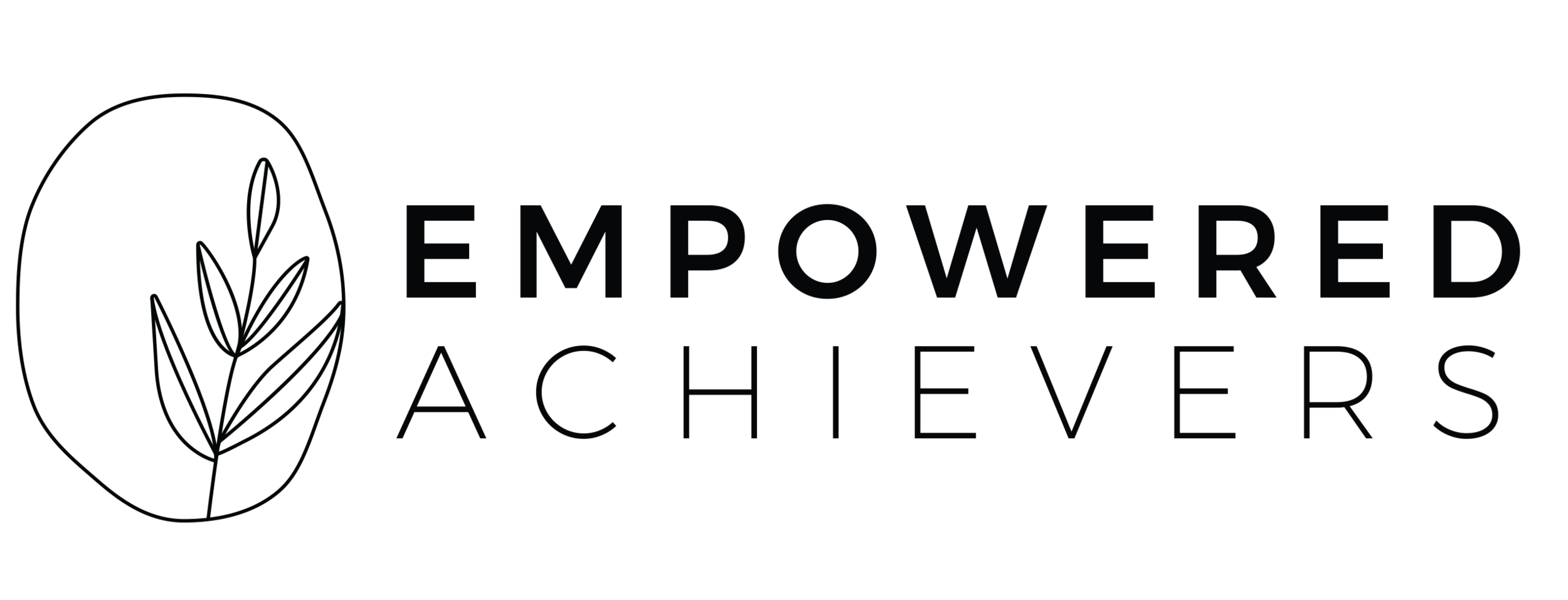 Empowered Achievers - Career Coach for High Achievers