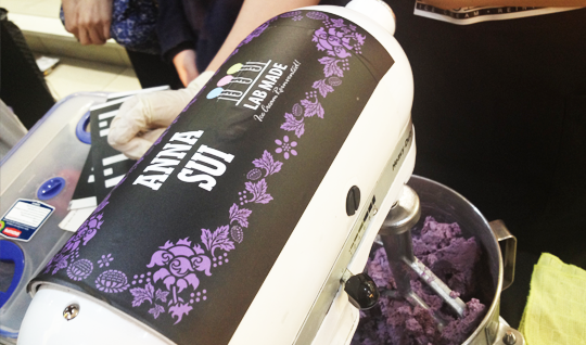 website_projects_anna sui_03.png