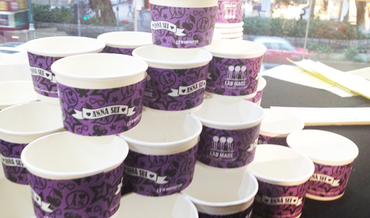 website_projects_anna sui_05.png