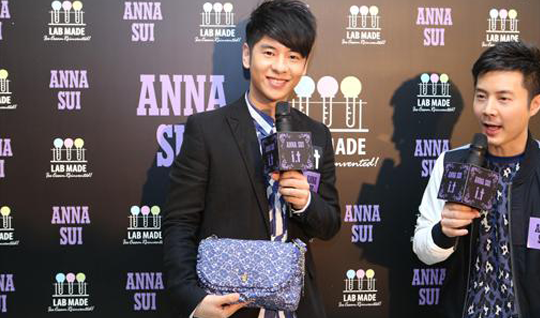 website_projects_anna sui_06.png